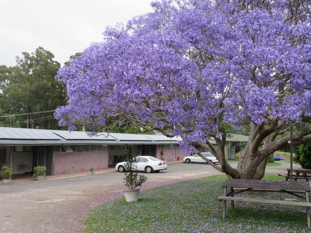 Ecotel Narooma North Narooma Buitenkant foto