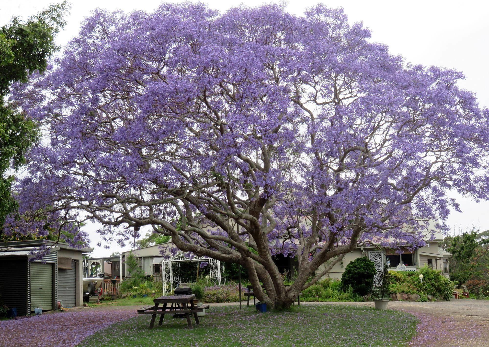 Ecotel Narooma North Narooma Buitenkant foto