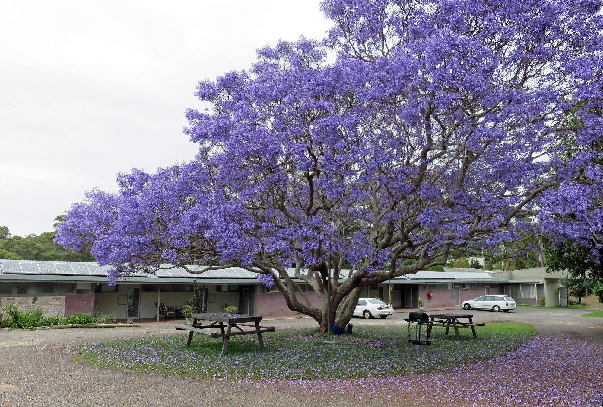 Ecotel Narooma North Narooma Buitenkant foto
